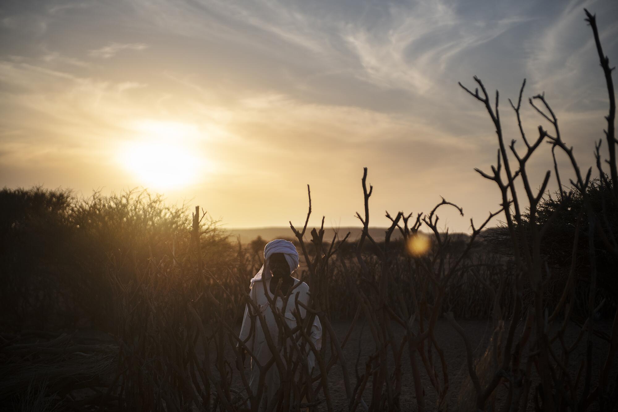 Los guardianes de Kush - 7